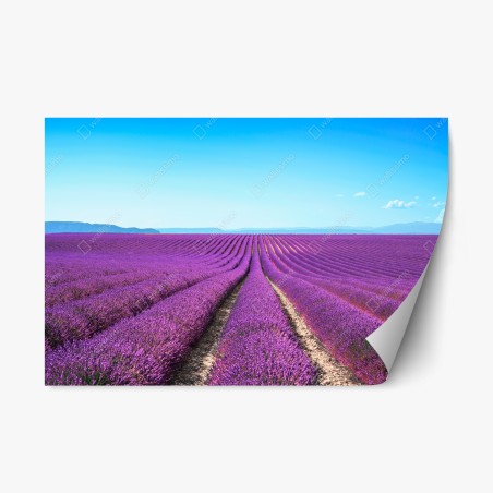 Repositionierbarer Aufkleber lavendelfelder unter blauem himmel – Wallnifity®