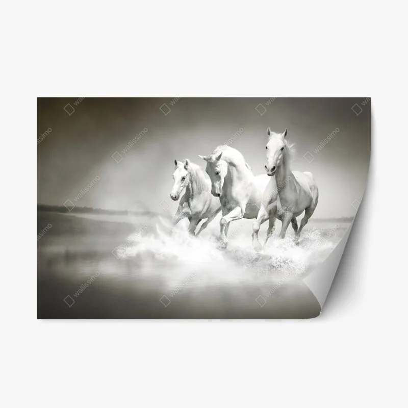 Tiere – Wallnifity®