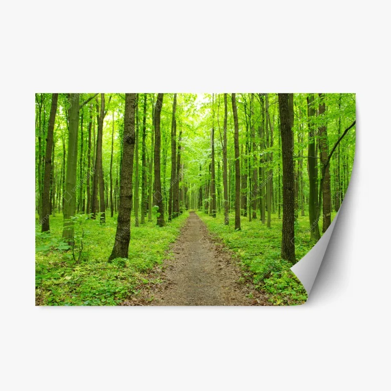 Natur – Wallnifity®