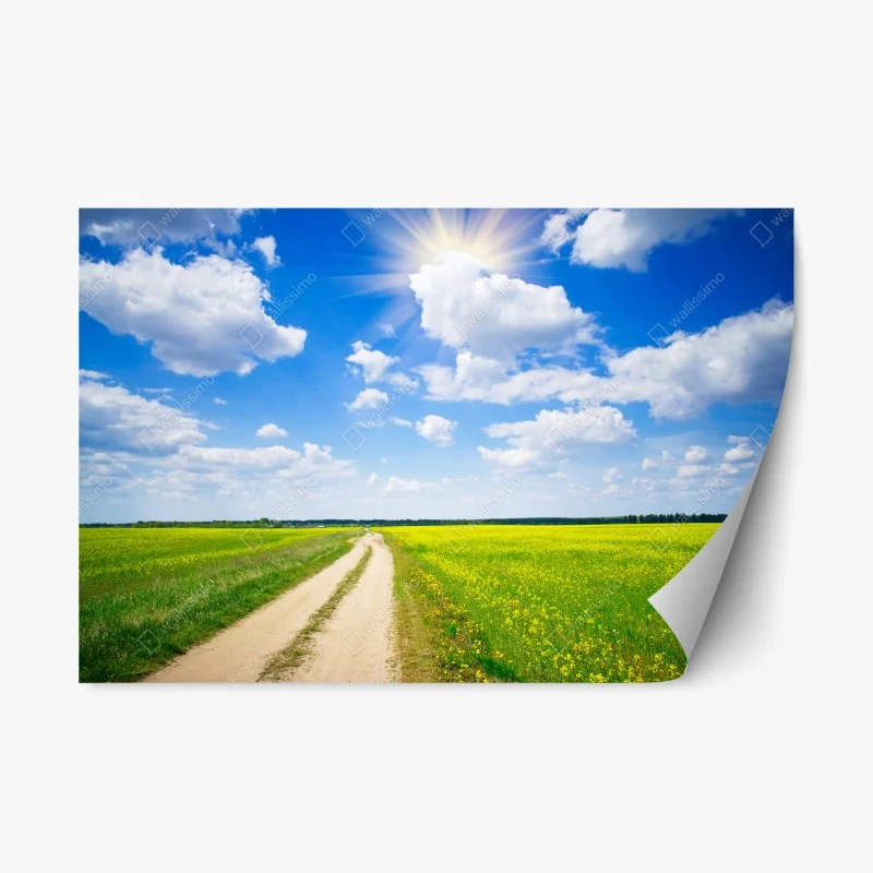 Natur – Wallnifity®