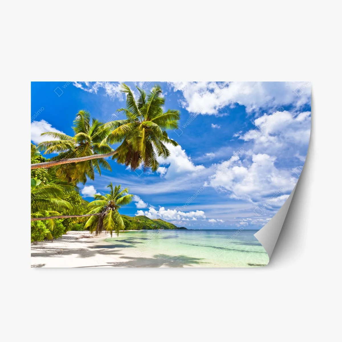 Repositionierbarer Aufkleber tropischer strand mit palmen – Wallnifity® Repositionierbarer Aufkleber tropischer strand mit palmen – Wallnifity®