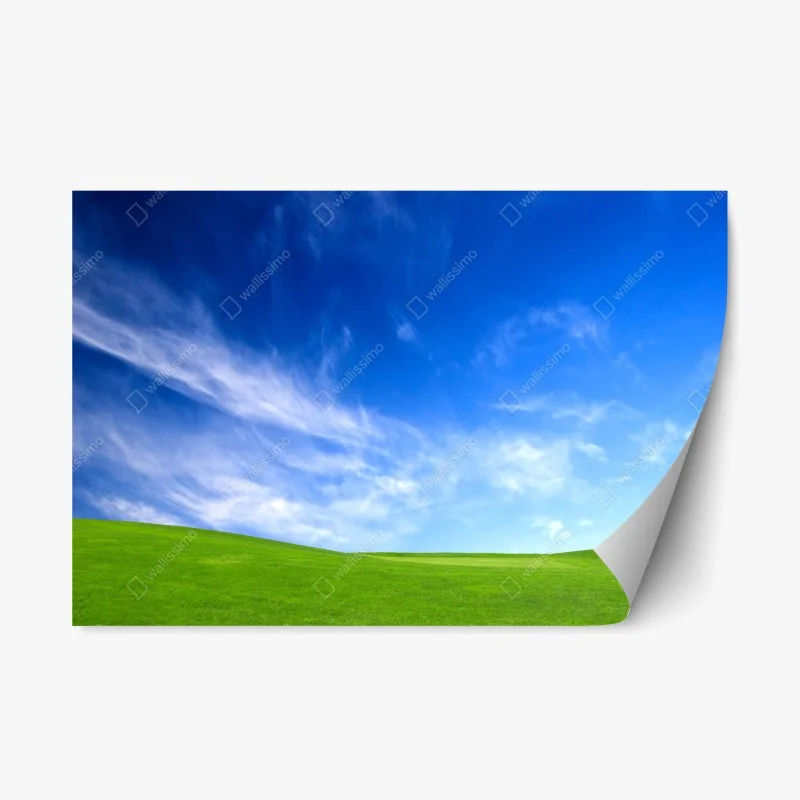 Natur – Wallnifity®