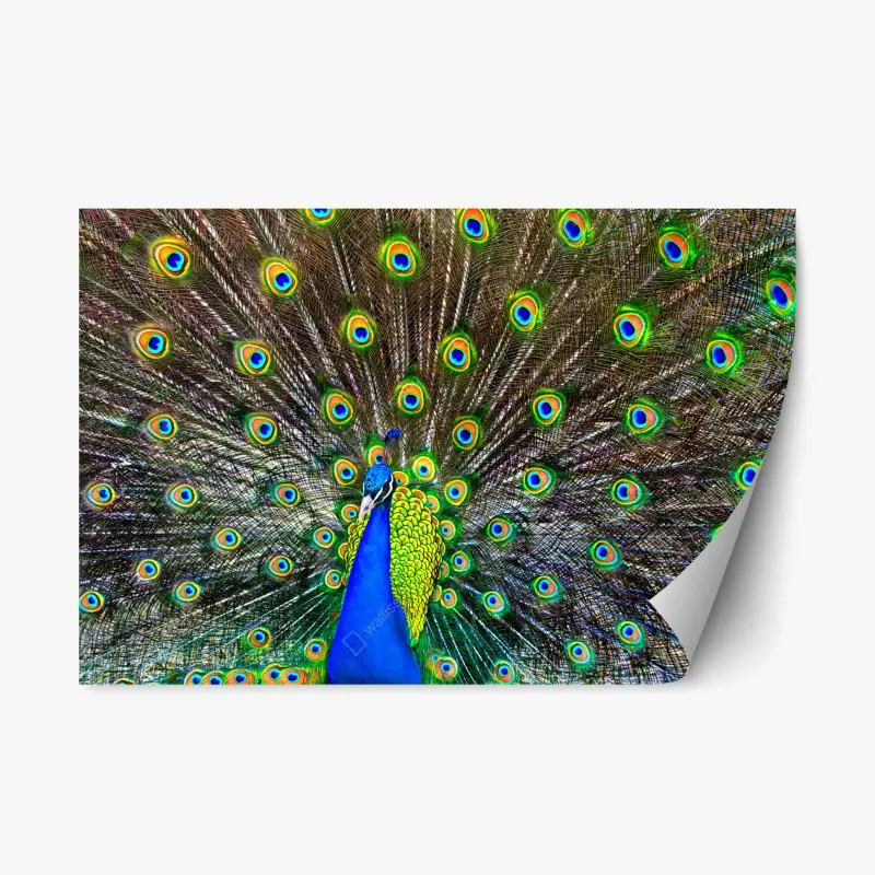 Tiere – Wallnifity®