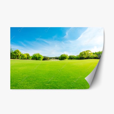 Repositionierbarer Aufkleber friedliche grüne wiese unter blauem himmel – Wallnifity®