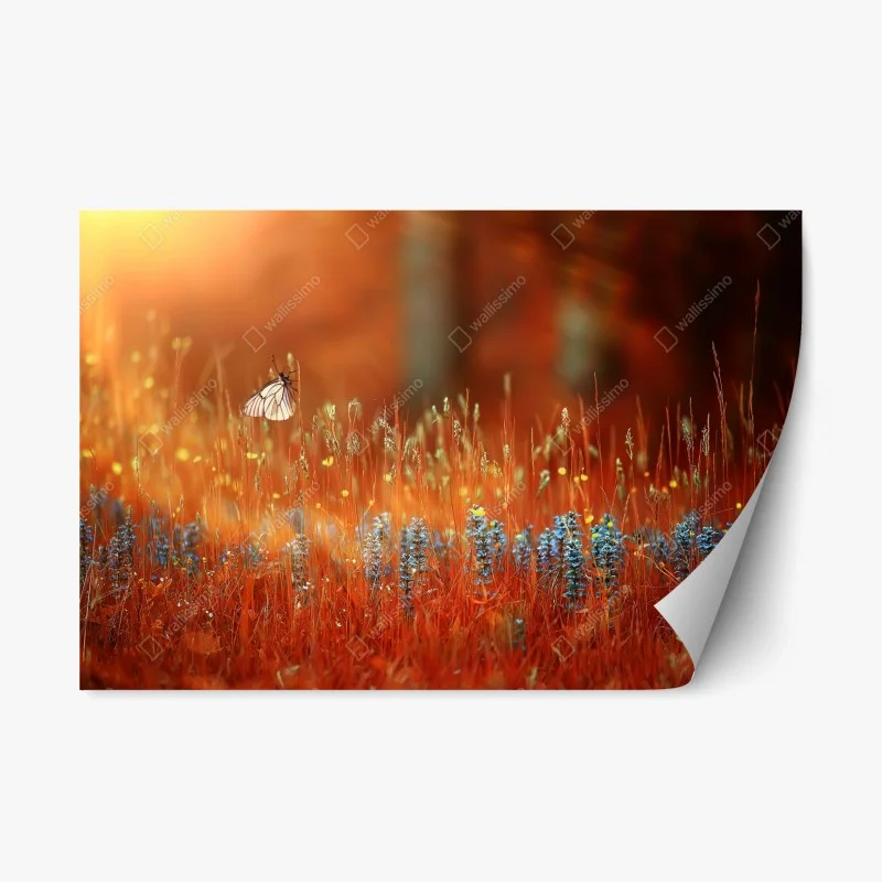 Rustikal – Wallnifity®