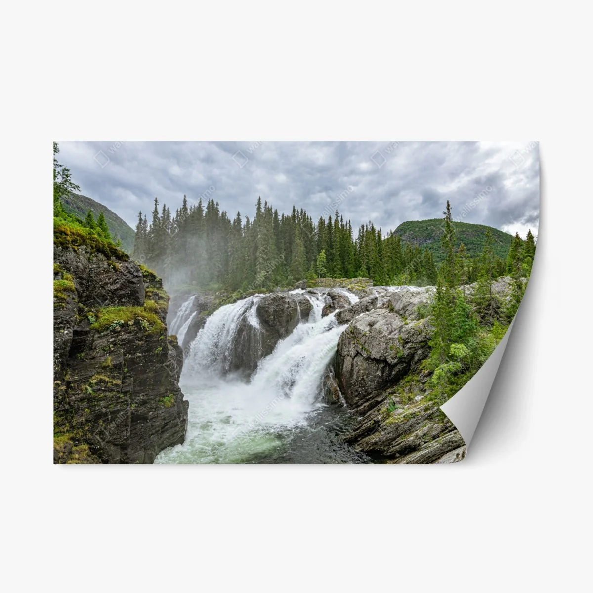 Repositionierbarer Aufkleber nebliger wasserfall im dichten kiefernwald – Wallnifity® Repositionierbarer Aufkleber nebliger wasserfall im dichten kiefernwald – Wallnifity®