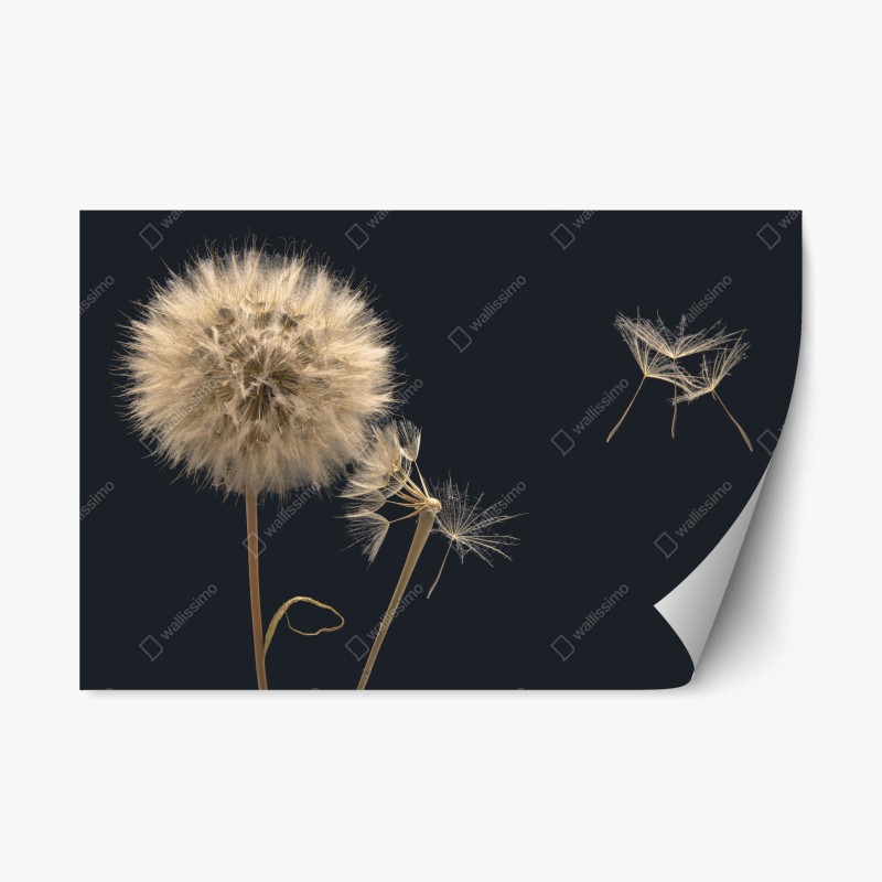 Wohnzimmer – Wallnifity®