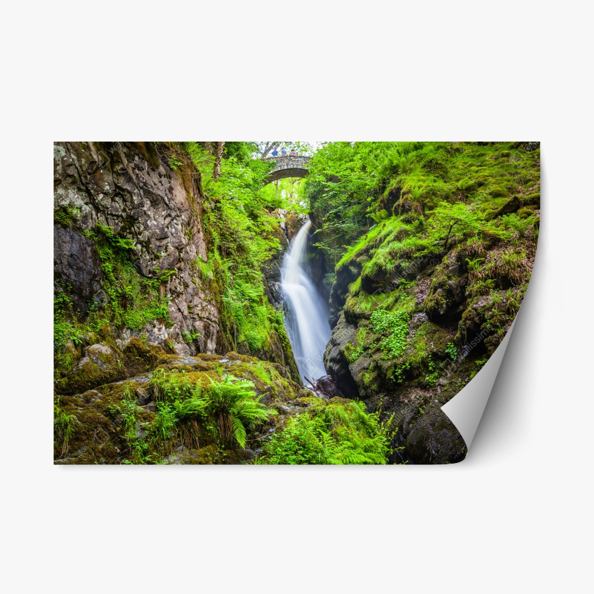Repositionierbarer Aufkleber wasserfall in moosiger schlucht mit steinbrücke – Wallnifity®