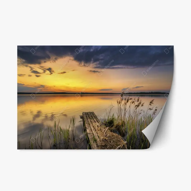 Biophil – Wallnifity®