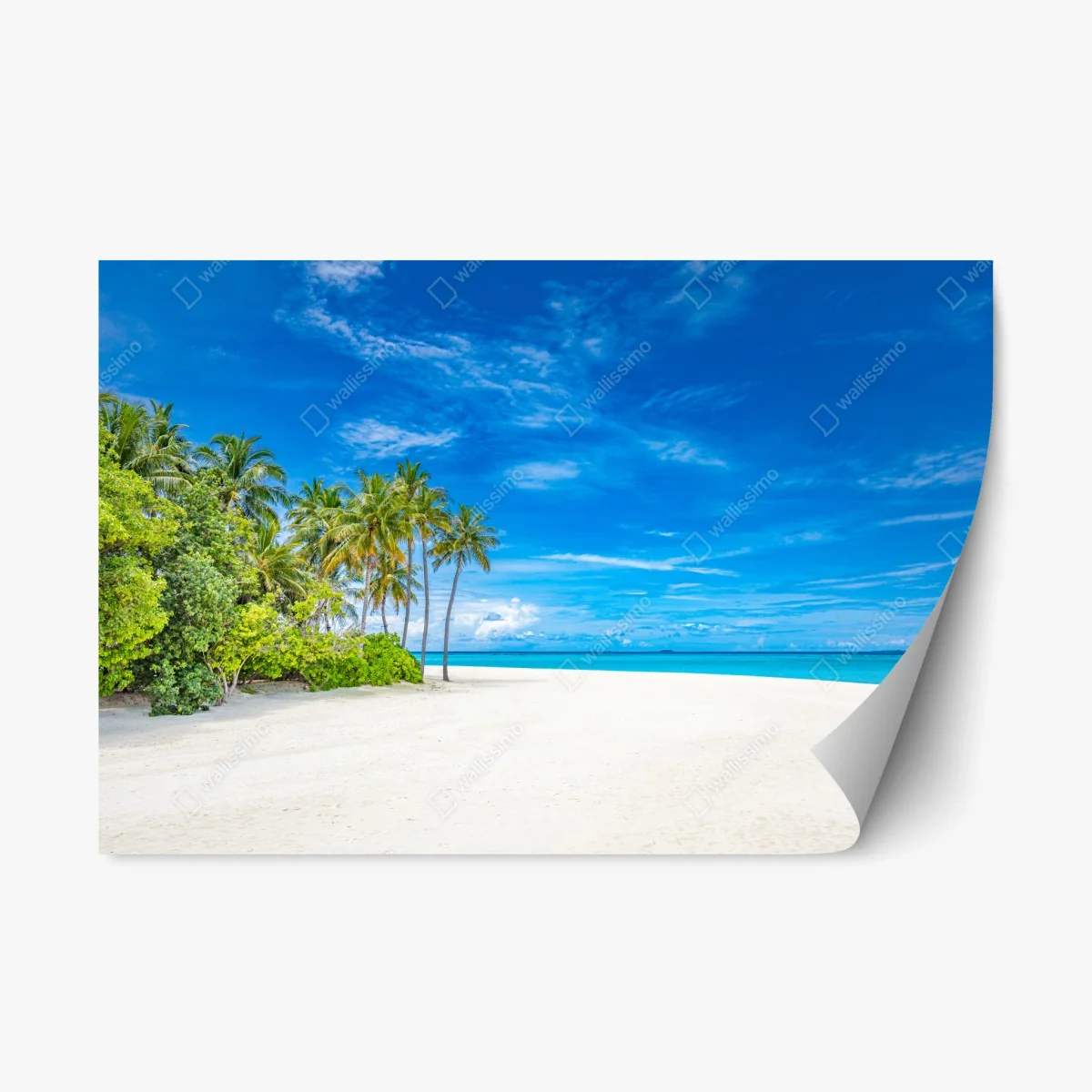 Repositionierbarer Aufkleber tropischer strand mit palmen – Wallnifity® Repositionierbarer Aufkleber tropischer strand mit palmen – Wallnifity®