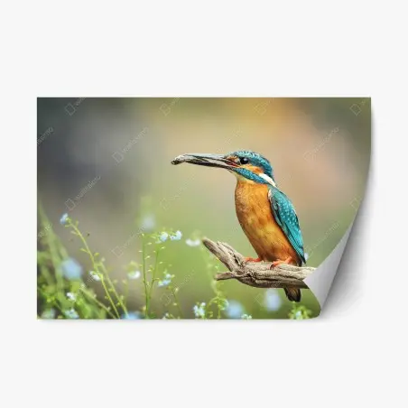 Repositionierbarer Aufkleber eisvogel auf einem ast mit fisch – Wallnifity®