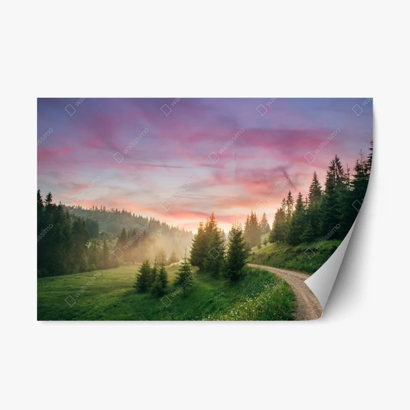 Wälder – Wallnifity®