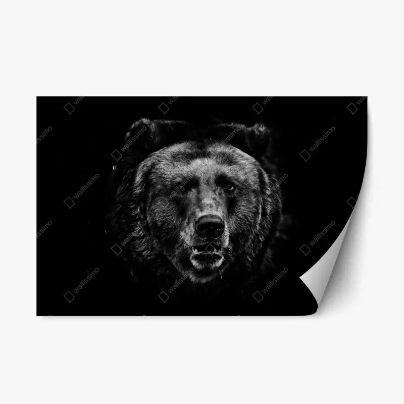 Tiere – Wallnifity®