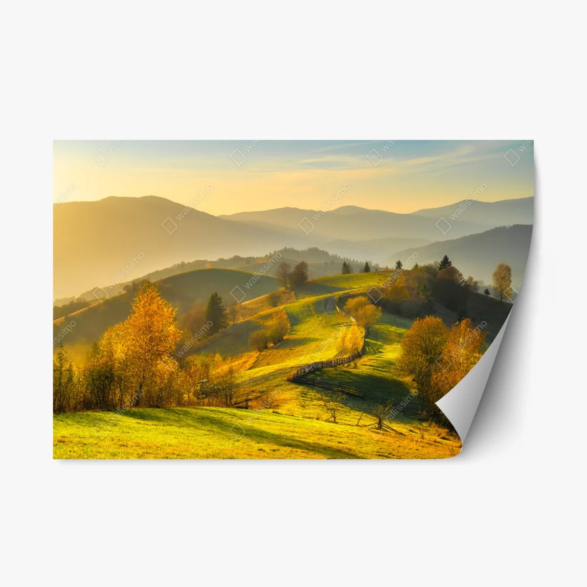 Repositionierbarer Aufkleber goldene herbsthügel bei sonnenuntergang – Wallnifity® Repositionierbarer Aufkleber goldene herbsthügel bei sonnenuntergang – Wallnifity®