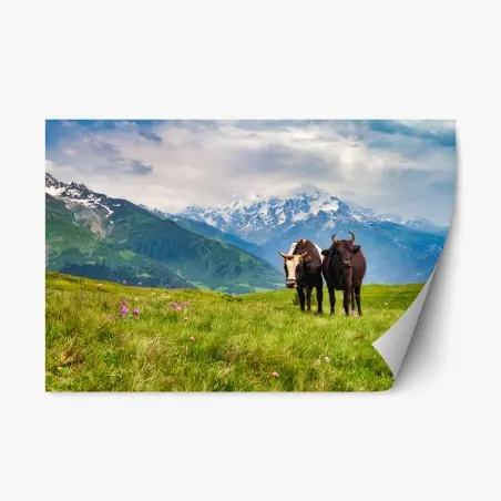 Repositionierbarer Aufkleber alpenwiese mit grastenden kühen – Wallnifity®
