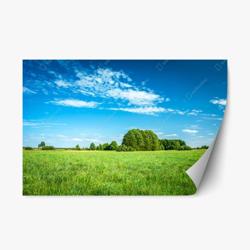 Wiesen – Wallnifity®