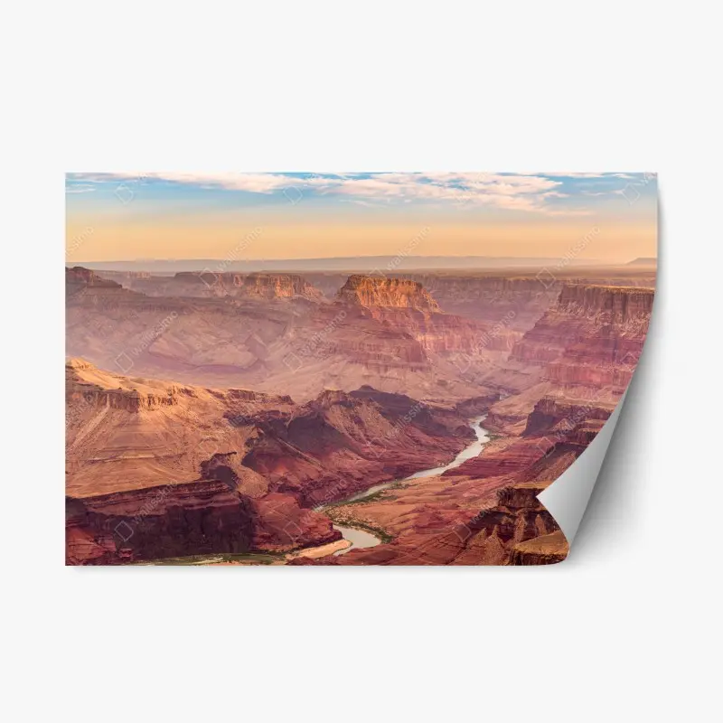 Wüste – Wallnifity®