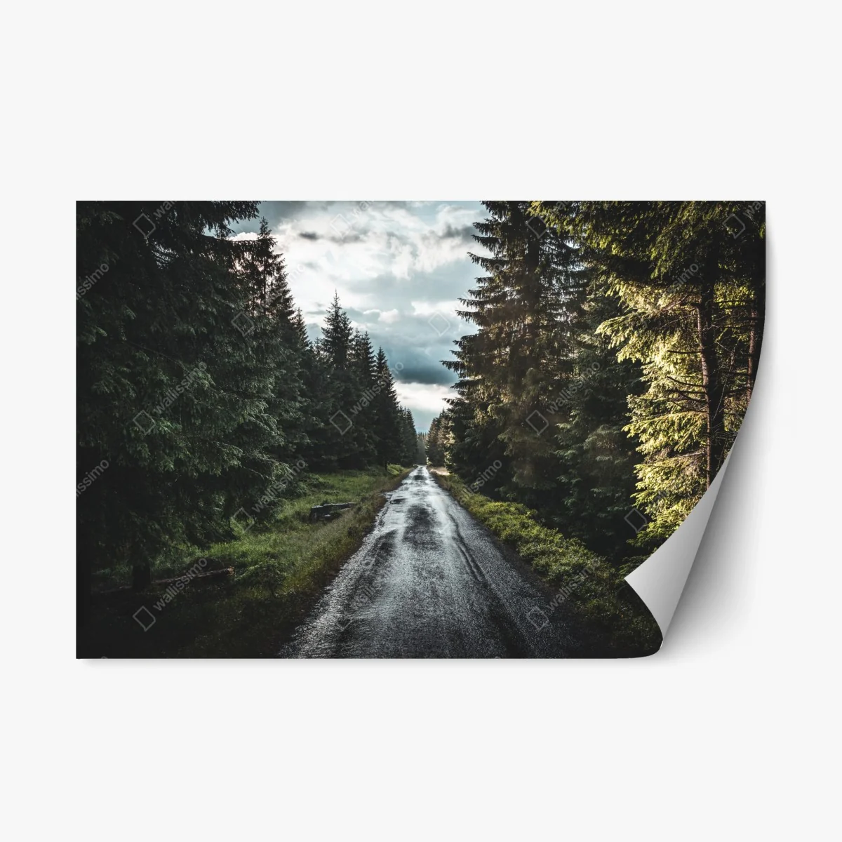 Repositionierbarer Aufkleber waldweg durch neblige kiefern – Wallnifity® Repositionierbarer Aufkleber waldweg durch neblige kiefern – Wallnifity®