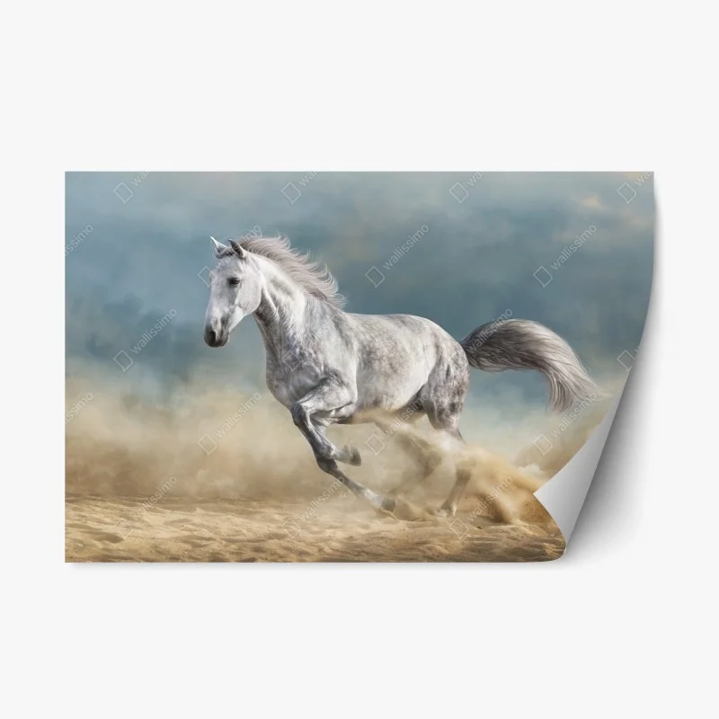 Tiere – Wallnifity®