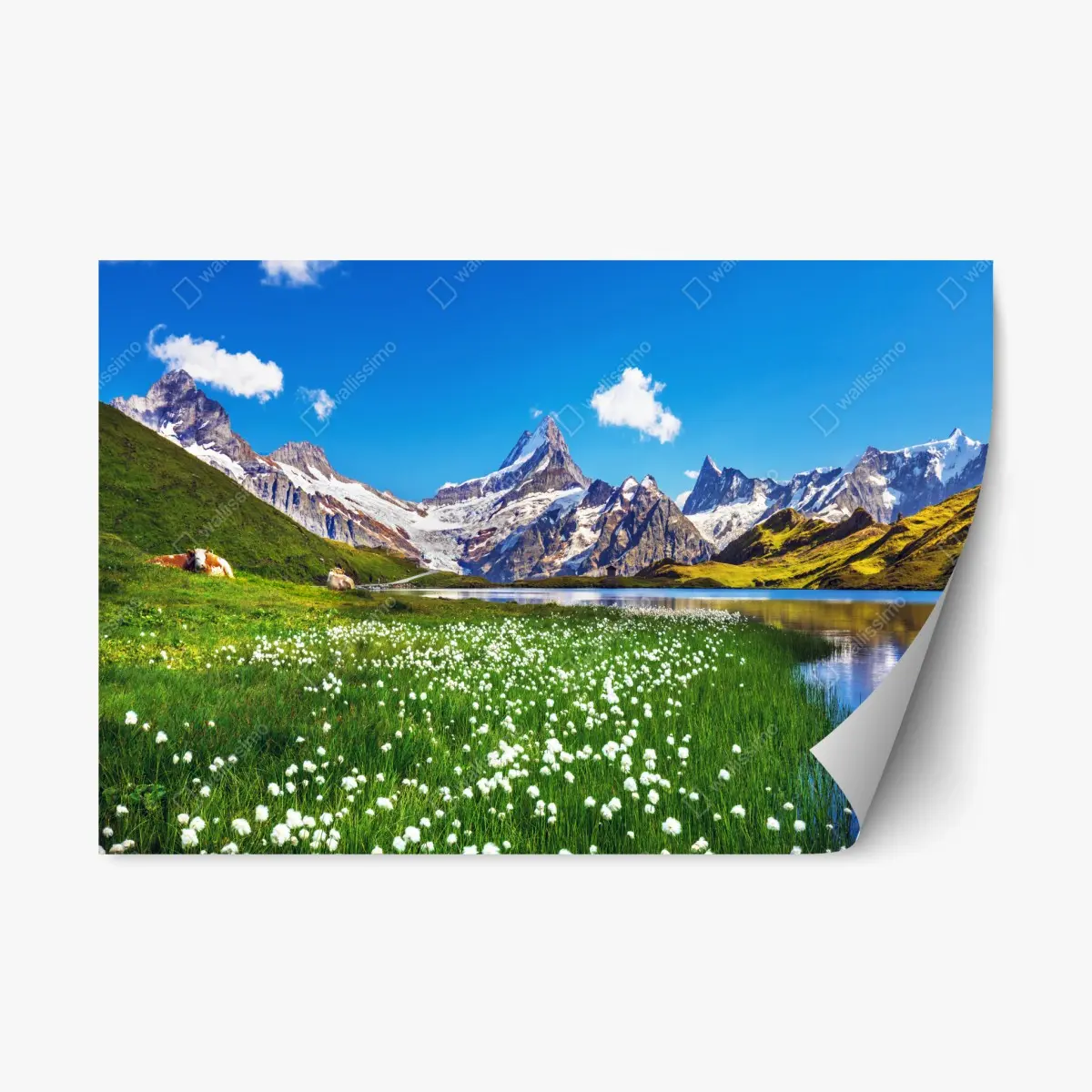 Repositionierbarer Aufkleber alpensee mit blumenwiese und berggipfeln – Wallnifity®