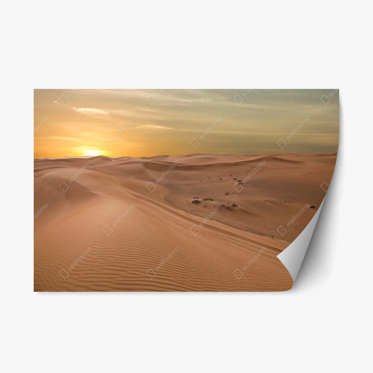 Repositionierbarer Aufkleber sonnenuntergang über der wüste VAE – Wallnifity® Repositionierbarer Aufkleber sonnenuntergang über der wüste VAE – Wallnifity®