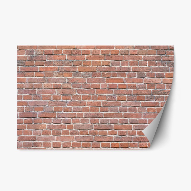 Oberflächen & Texturen – Wallnifity®