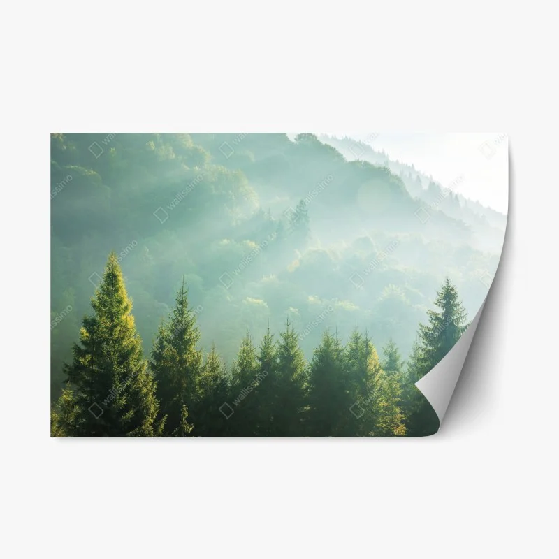 Natur – Wallnifity®