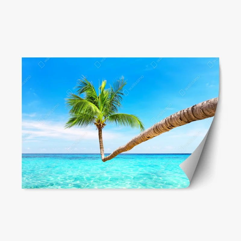 Natur – Wallnifity®