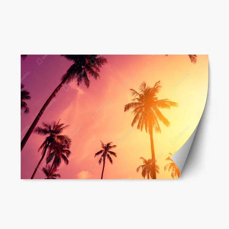 Boho – Wallnifity®
