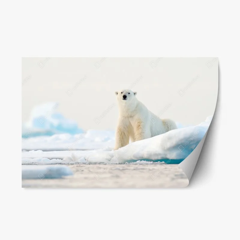 Tiere – Wallnifity®
