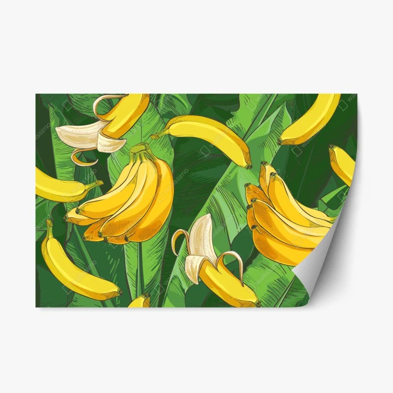 Obst & Gemüse – Wallnifity®