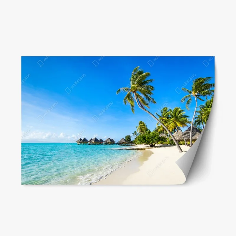 Natur – Wallnifity®