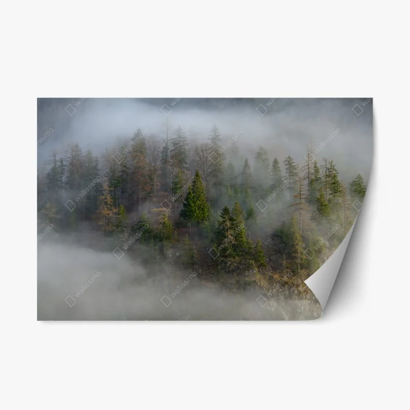 Repositionierbarer Aufkleber nebliger bergwald – Wallnifity® Repositionierbarer Aufkleber nebliger bergwald – Wallnifity®