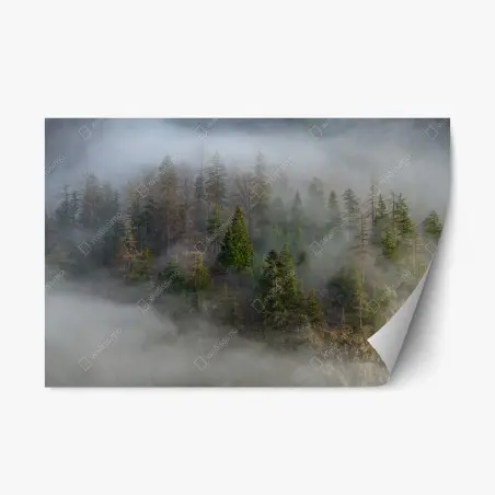 Repositionierbarer Aufkleber nebliger bergwald – Wallnifity®