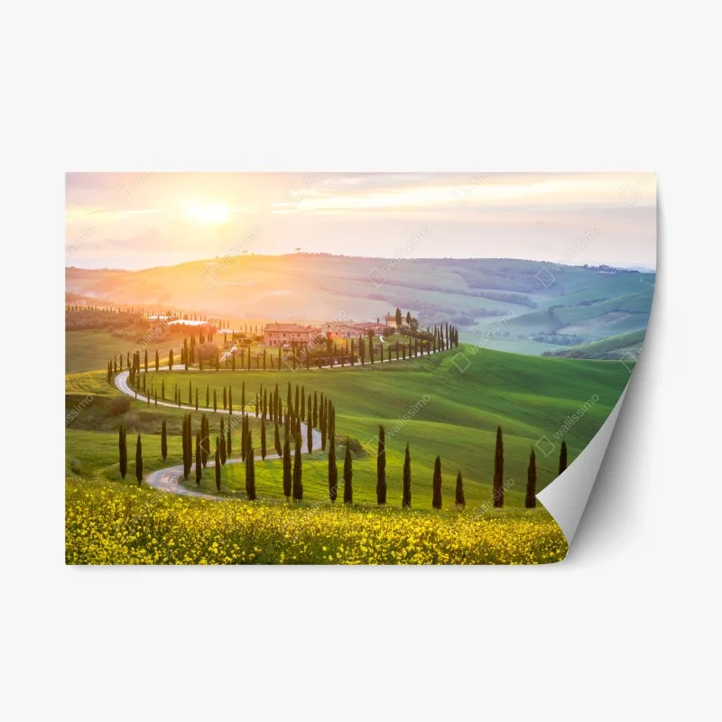 Rustikal – Wallnifity®