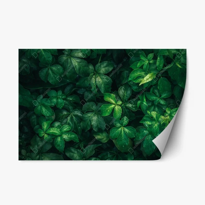 Repositionierbarer Aufkleber üppiges tropisches grünes laub