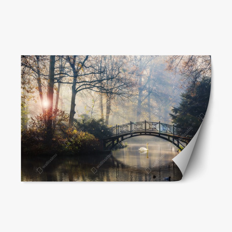Architektur – Wallnifity®