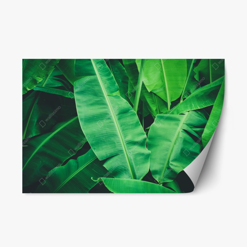 Wohnzimmer – Wallnifity®