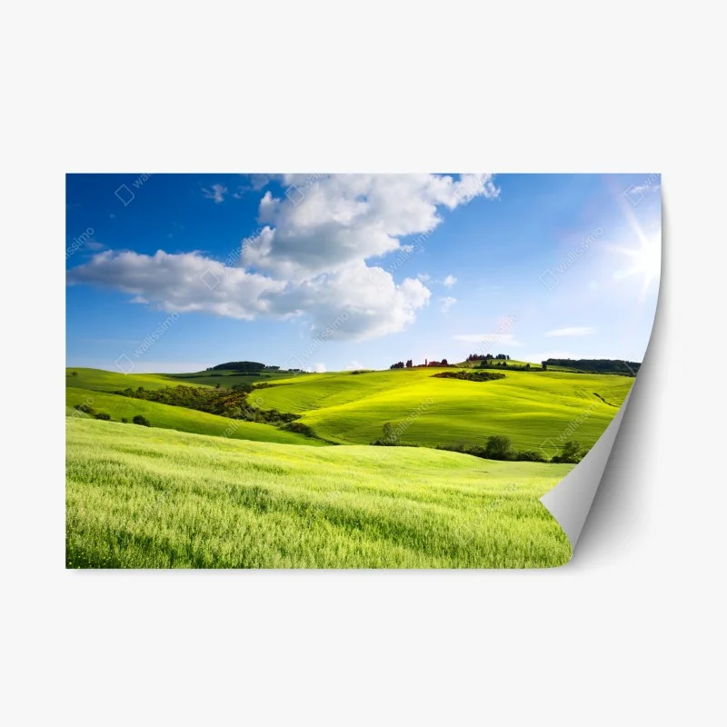 Rustikal – Wallnifity®