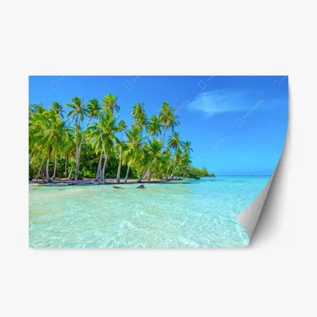 Repositionierbarer Aufkleber tropischer palmenstrand – Wallnifity®