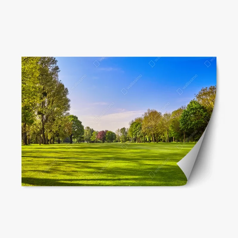 Repositionierbarer Aufkleber sonnige panoramaaufnahme eines stadtparks