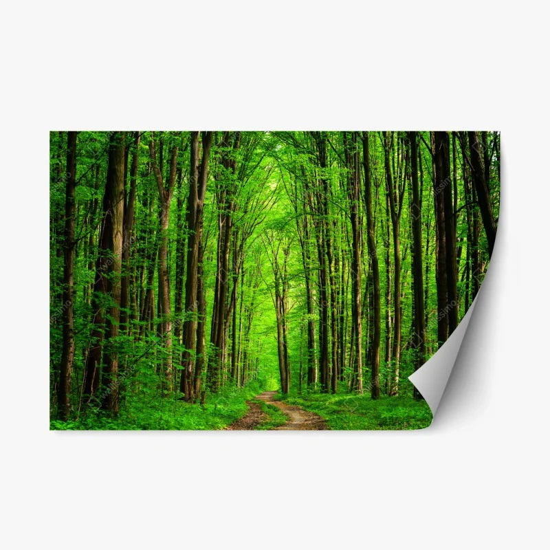 Natur – Wallnifity®