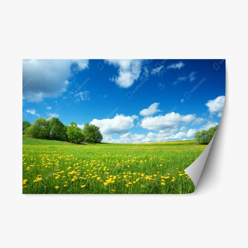 Repositionierbarer Aufkleber sonnige wiese mit löwenzahn und blauem himmel