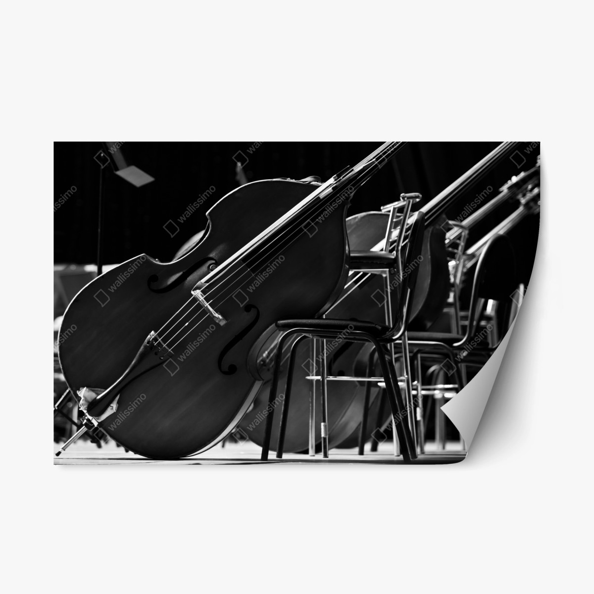 Repositionierbarer Aufkleber monochrome kontrabässe im orchester – Wallnifity®