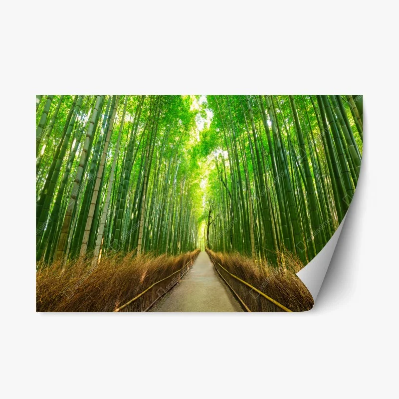 Repositionierbarer Aufkleber ruhiger bambusweg in Kyoto