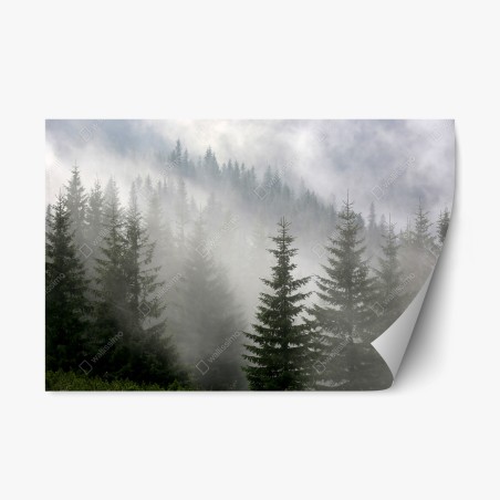 Repositionierbarer Aufkleber nebliger kiefernwald im morgengrauen – Wallnifity®