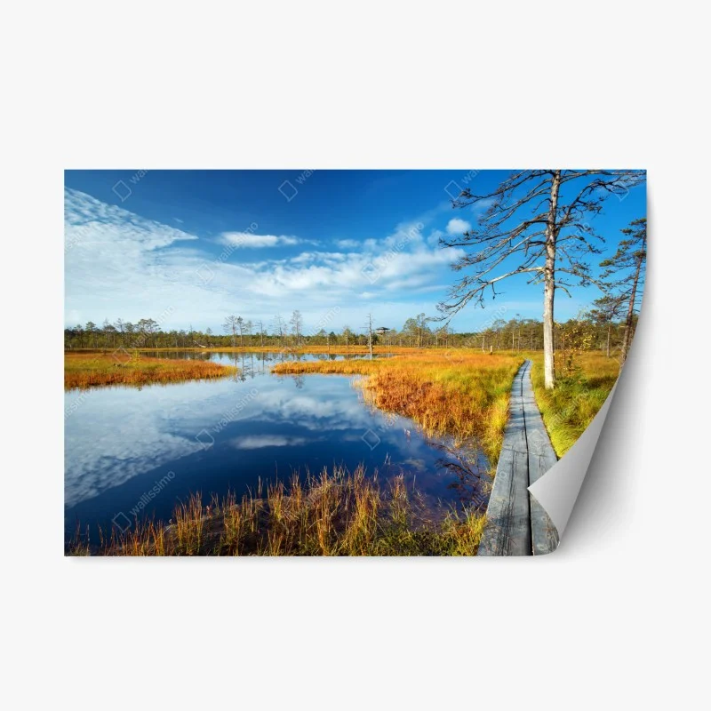Repositionierbarer Aufkleber herbststeg über ruhigem moor