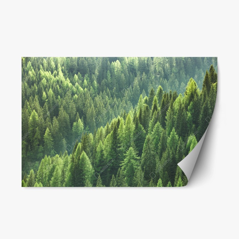 Biophil – Wallnifity®