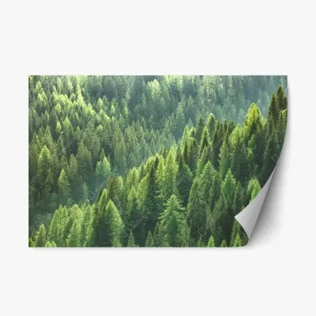 Repositionierbarer Aufkleber üppige grüne waldpanorama – Wallnifity®