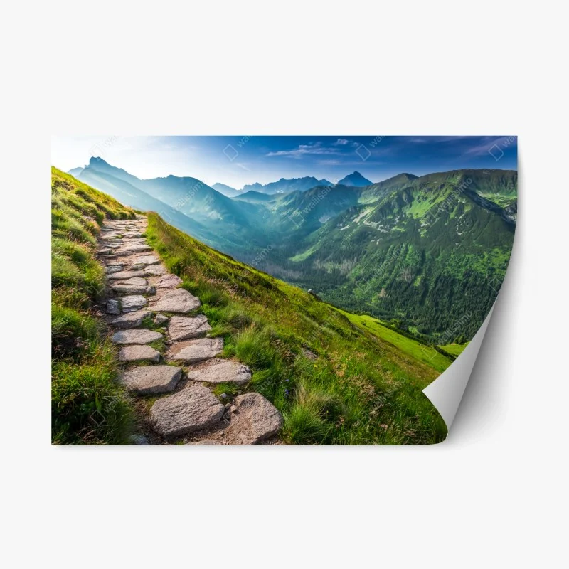 Natur – Wallnifity®